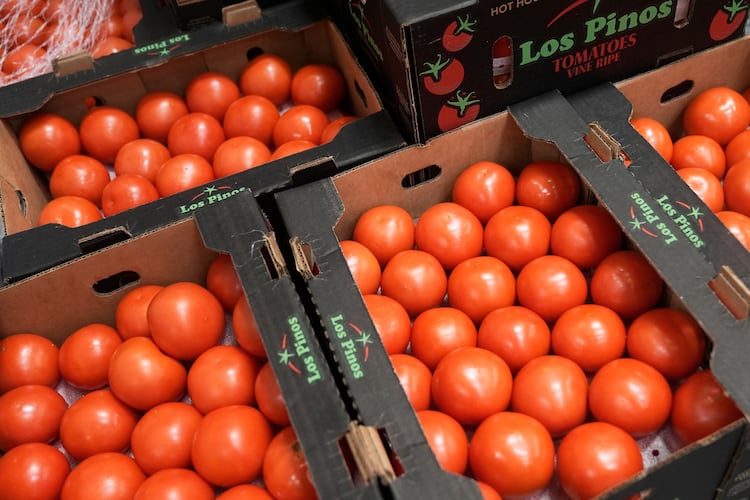 Boxes of tomatoes are shown in the San Francisco-Marin Food Bank warehouse in San Francisco, Wednesday, July 2, 2025. (AP Photo/Jeff Chiu)