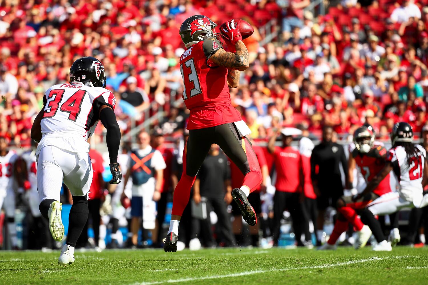 falcons