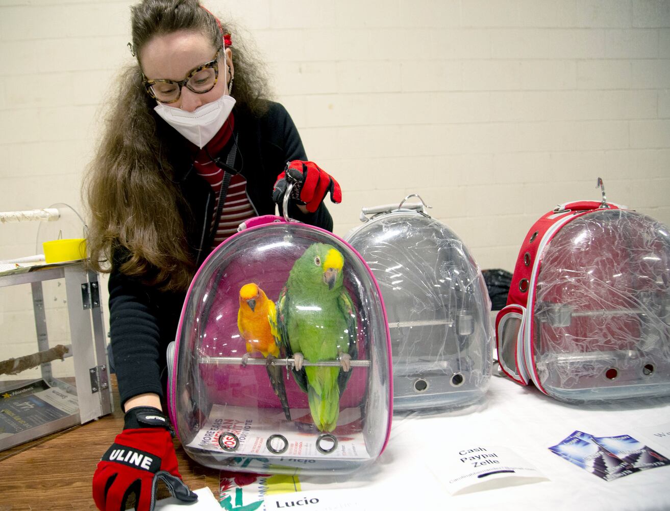 Southeast Exotic Bird Fair