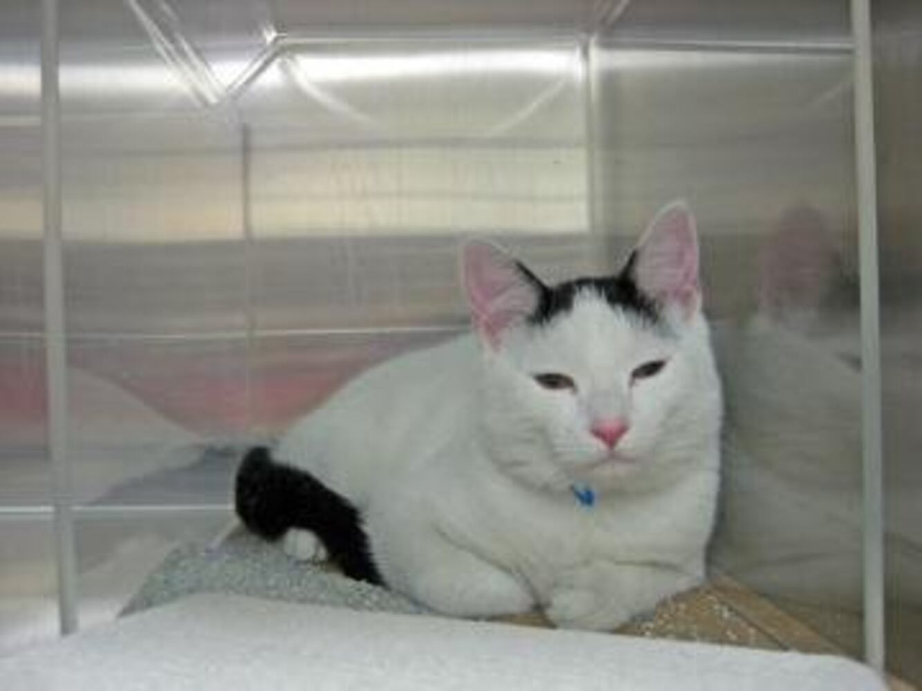 Can you find me a home, please?
