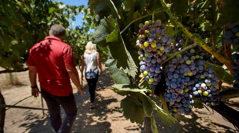 Ron Loder, left, and his wife, Kathy Loder, at their home winery in Granite Bay, Calif., on July 26, 2017. (Randall Benton/Sacramento Bee/TNS)