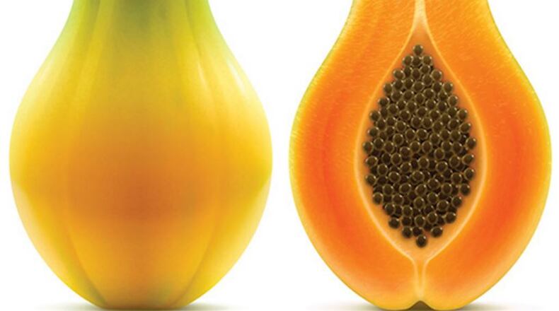 Yellow Maradol papaya