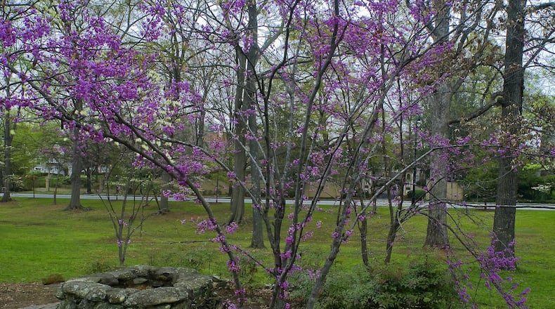 Shadyside Park is one of the Olmsted Linear Parks. (Photo by Marc Del Santro, courtesy of the Olmsted Linear Park Alliance.)