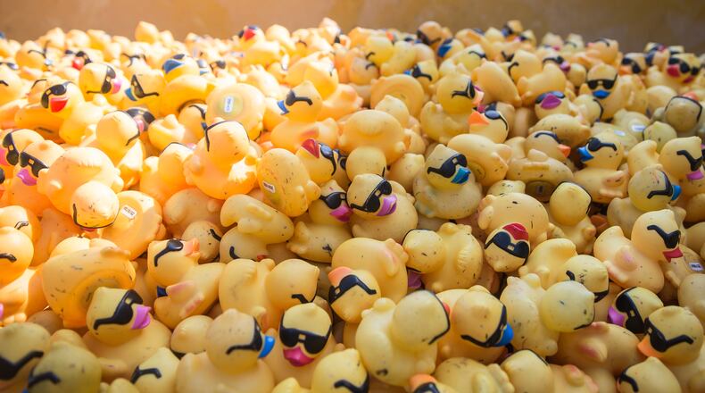 17,000 rubber ducks are piled into a wheel loader before being launched from the Ann Richards Congress Avenue bridge into Lady Bird Lake and raced to the finish line to win prizes as part of the The 4th Annual Austin Duck Derby on Aug. 5, 2017. All proceeds benefit the Boys and Girls Club of the Austin area. (TAMIR KALIFA/ AMERICAN-STATESMAN)