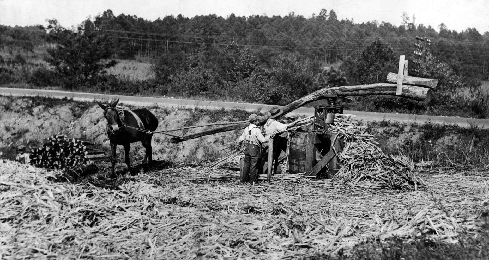 AJC Flashback Photos: Georgia's scenic highways