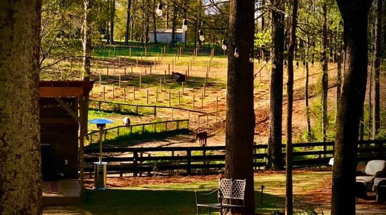 Milton has placed a 35-day moratorium on any farm winery seeking an alcohol license, building permit and or land disturbance application. (Courtesy The Painted Horse Winery)