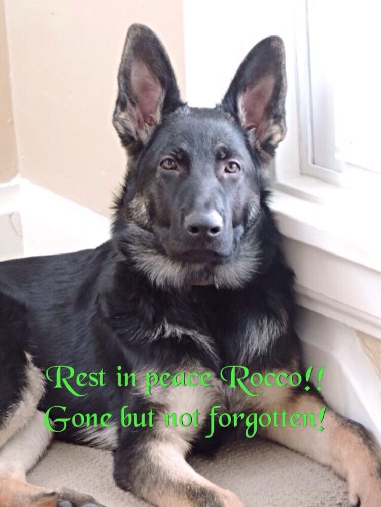 RIP Rocco
