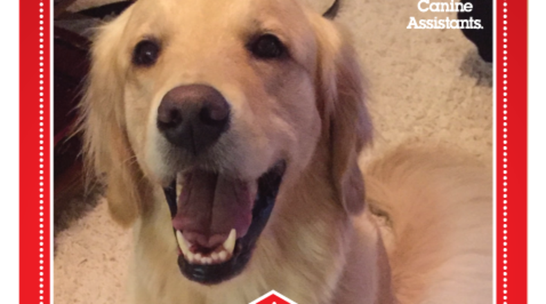 Rolex, a golden retriever from Duluth, was named one of Milk-Bone's "Dogs That Changed the World."