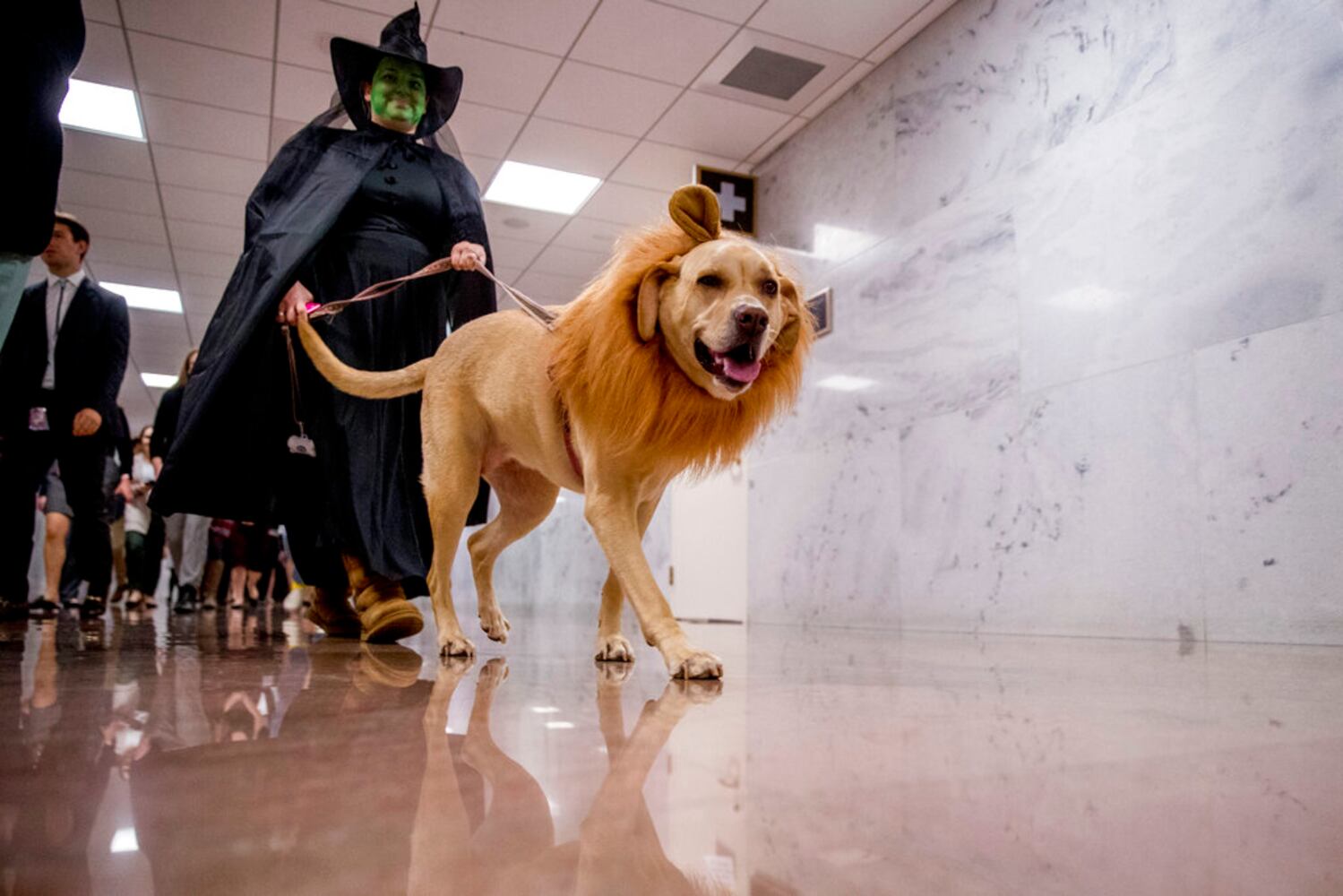 Photos: Halloween 2019