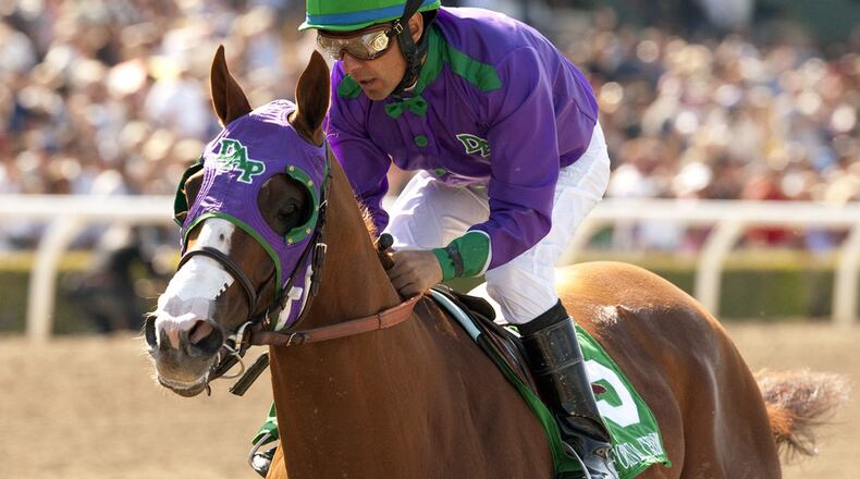 California Chrome with jockey Victor Espinoza and the suddenly-controversial nasal strips.