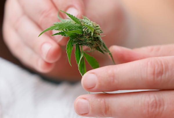 Hemp growers are not chill with a new GA law. 
