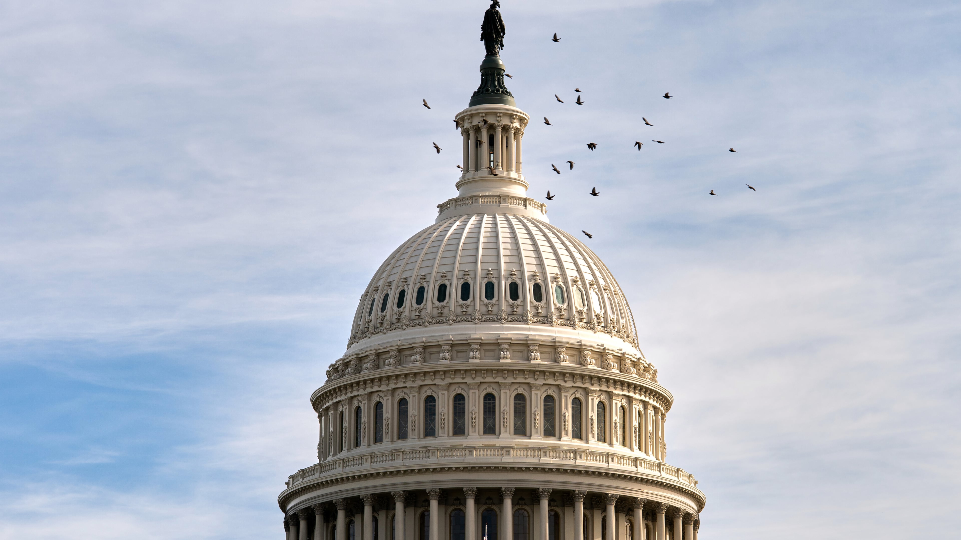 Birds fly around the Capitol dome, Tuesday, Nov. 4, 2025, in Washington. (AP Photo/Allison Robbert)