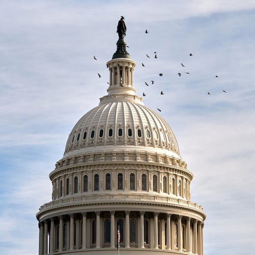 Birds fly around the Capitol dome, Tuesday, Nov. 4, 2025, in Washington. (AP Photo/Allison Robbert)