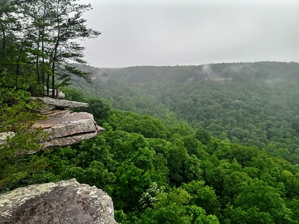 The Savage Gulf unit of South Cumberland State Park is less than 25 miles from The Caverns and boasts some of Tennessee's most scenic vistas and hiking trails.
Courtesy of Blake Guthrie