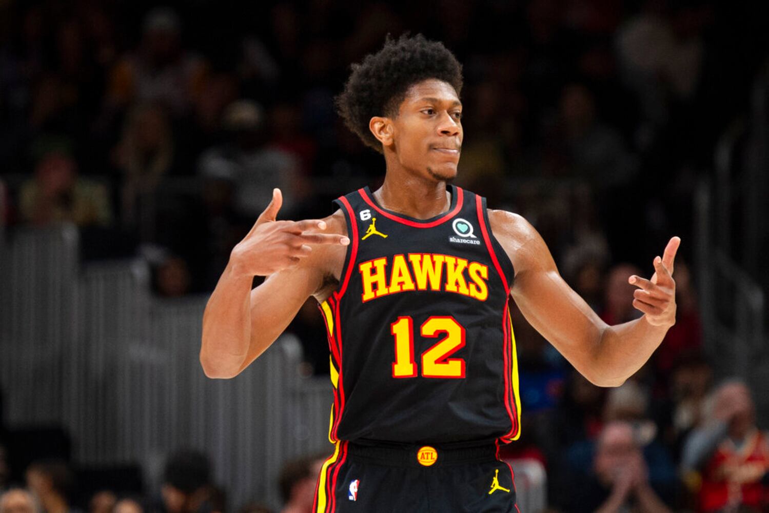 Hawks for ajc