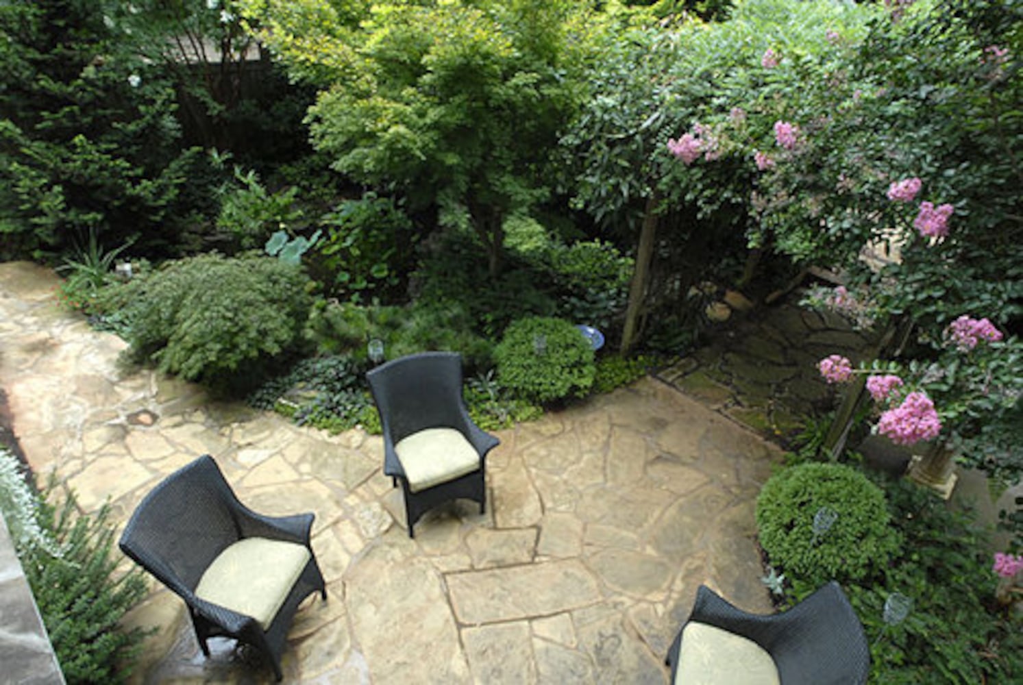 Avondale Estates garden: The 10-year plan
