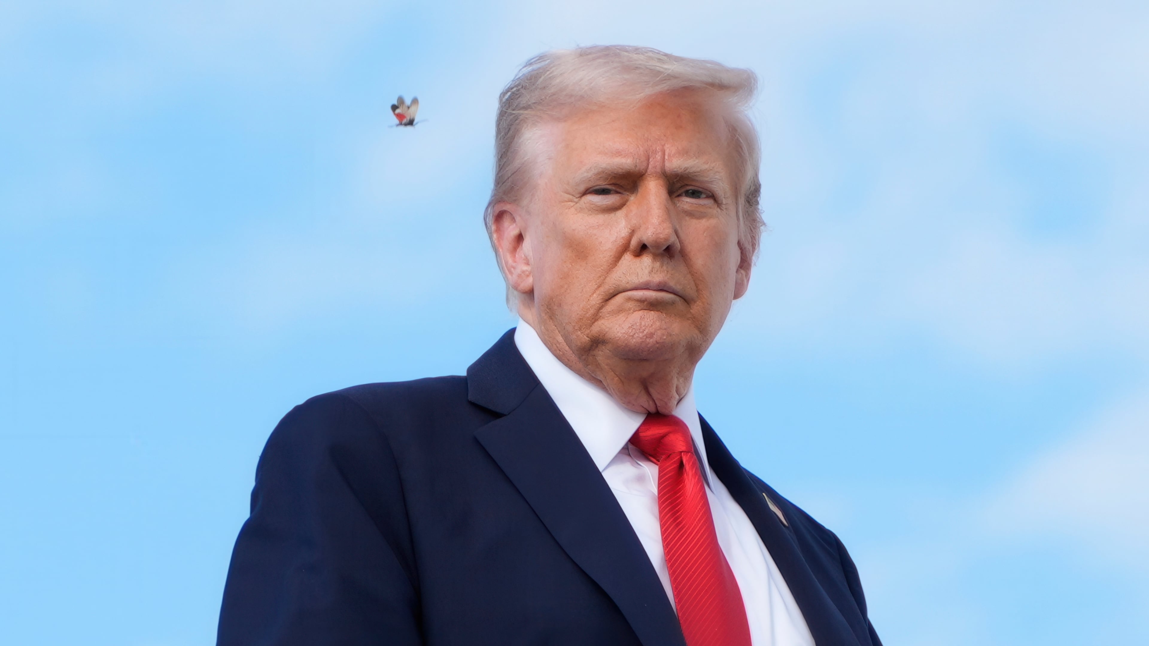 A spotted lanternfly flies past President Donald Trump as he boards Air Force One, Thursday, Sept. 11, 2025, at Joint Base Andrews, Md., to travel to New York. (AP Photo/Alex Brandon)