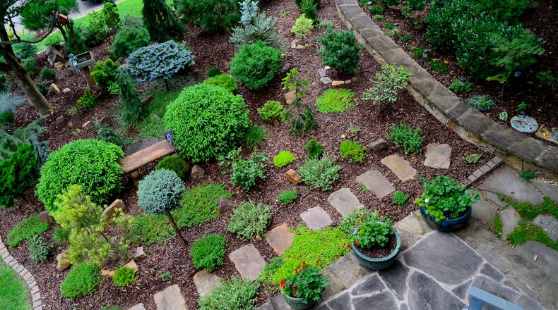 Numerous conifers of various origins were brought into the landscape design, which features Japanese black, white and red pines, Scots pine, Korean fir, Spanish fir, Serbian spruce, Oriental spruce and Norway spruce. The Roswell property also has a small Japanese garden and a hidden garden.