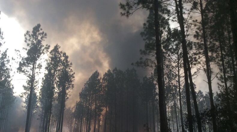 At one point, the wildfire in the Okefenokee National Wildlife Refuge covered more than 150,000 acres. (Handout photo)