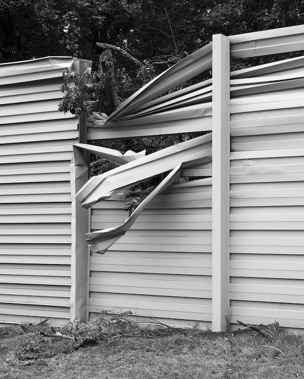 Spencer Maxwell’s “Fallen Tree on Wall.”