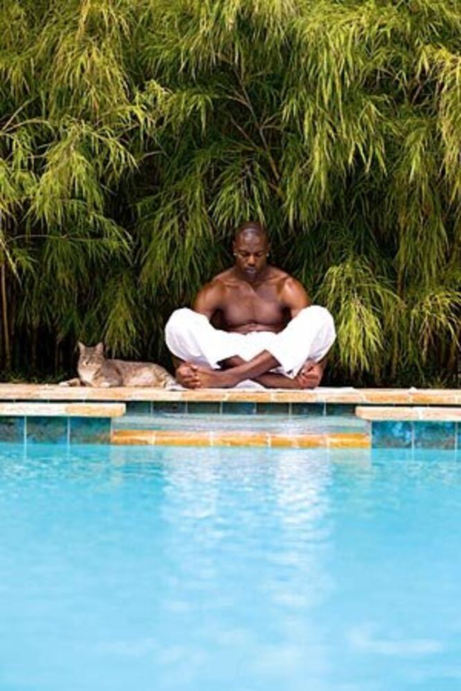 NFL: Dallas Cowboys release Terrell Owens