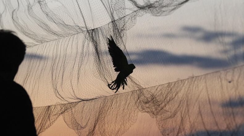 File photo.  (Photo by Oli Scarff/Getty Images)