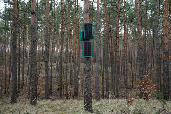 Fire-sensetive sensors that send alarms to the AI-based drone system with an autonomous Al-based system for early detection of forest fires by Dryad Networks, installed on trees during the presentation of Silvaguard, in Eberswalde, eastern Germany, Thursday, March 27, 2025. (AP Photo/Ebrahim Noroozi)
