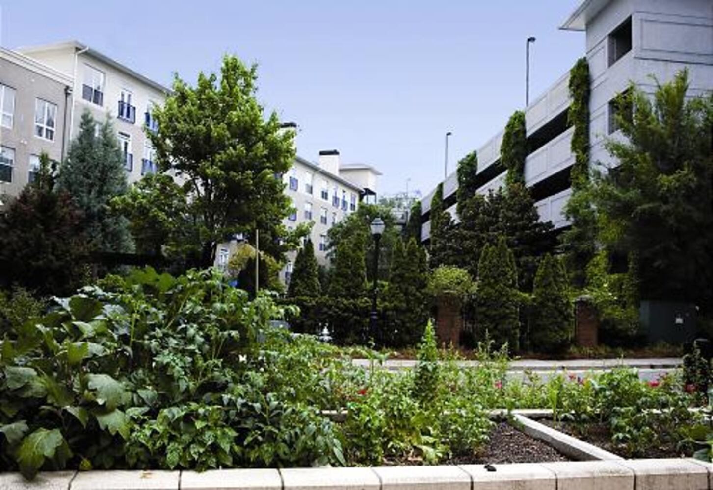 Mableton Community Garden at Nickajack Park