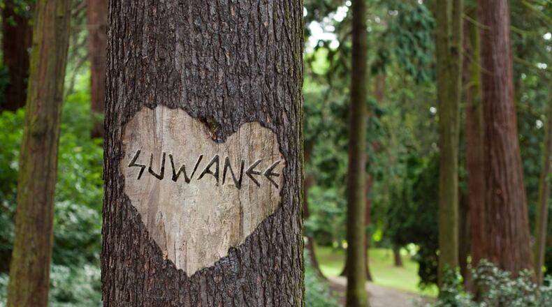 The Atlanta Regional Commission recently awarded a $160,000 Livable Centers Initiative grant to Suwanee for the development of a concept for a pedestrian and bicycle loop around the city. (Courtesy City of Suwanee)