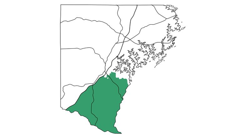 Forsyth County is working on commercial design standards and branding for the southern part of the county. An open house to obtain residents’ comments begins at 5:30 p.m., Feb. 24, at the Sharon Forks Public Library. FORSYTH COUNTY