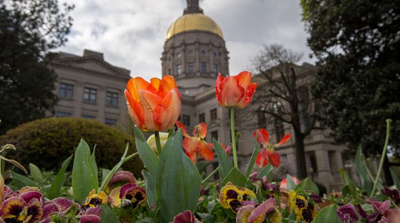 Morning dew on flowers at the Georgia State Capitol in Atlanta, Monday, March 28, 2016.  BRANDEN CAMP/SPECIAL