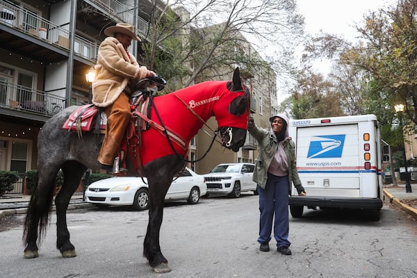 Who doesn't like seeing a horse? (Other than people who are afraid of horses, in which case I'm sorry.) (Abbey Cutrer/AJC)