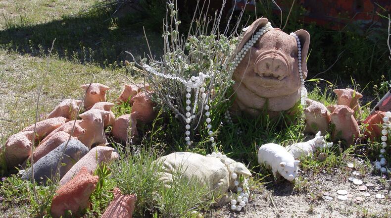 Do not cast pearls before swine, they say, but it works well here. (Handout/TNS)