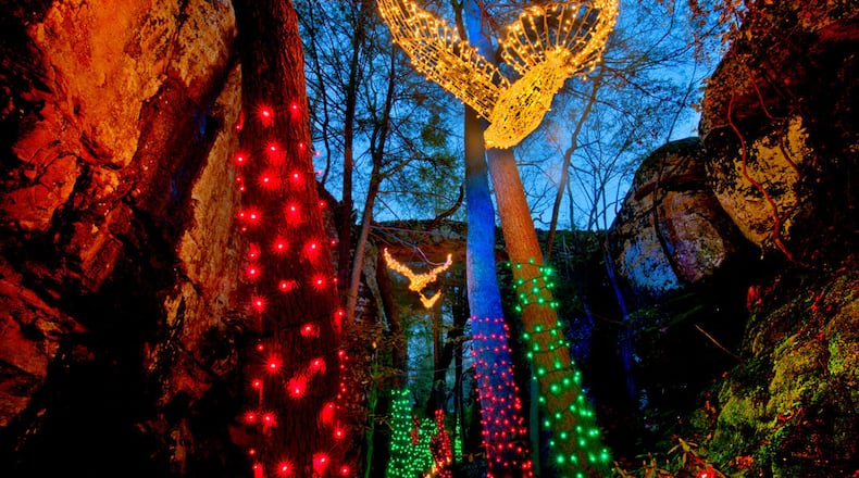 Enchanted Garden of Lights