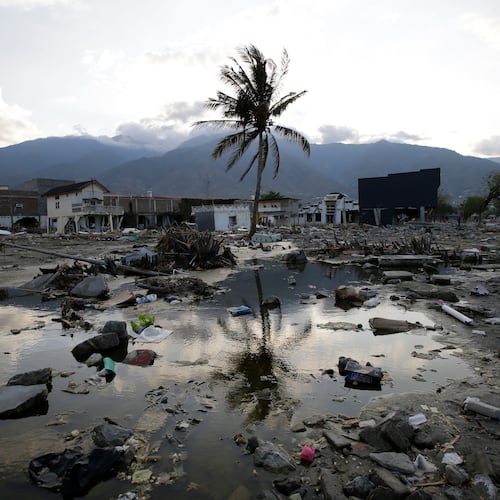 FILE - A lone tree stands in the debris from structures that were wiped out after a massive earthquake and tsunami hit Palu, Central Sulawesi, Indonesia, Thursday, Oct. 4, 2018. (AP Photo/Aaron Favila, File)