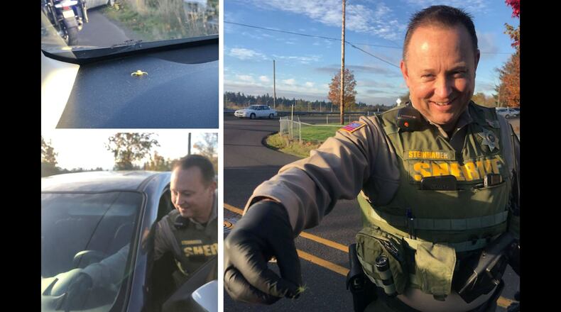 Clackamas County (Oregon) Deputy Lon Steinhauer was on his usual patrol route Wednesday, Nov. 1, 2017, when he spotted a female driver in distress on the side of the road. The woman asked Steinhauer to remove a spider from her car.