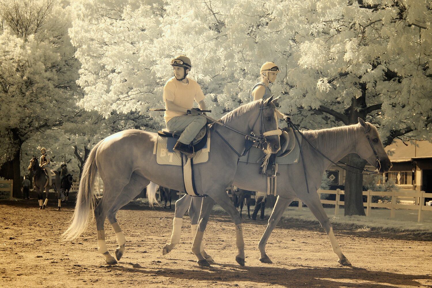 Belmont Stakes preps