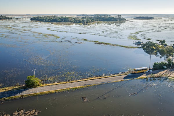 Floodwaters from a king tide encroach on a road in McIntosh County. (Justin Taylor for the AJC)