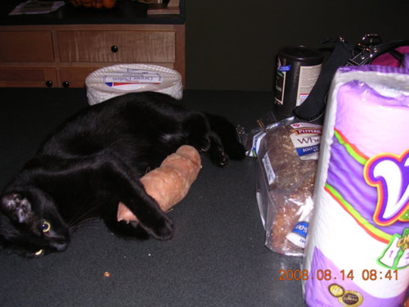 What the cat dragged in