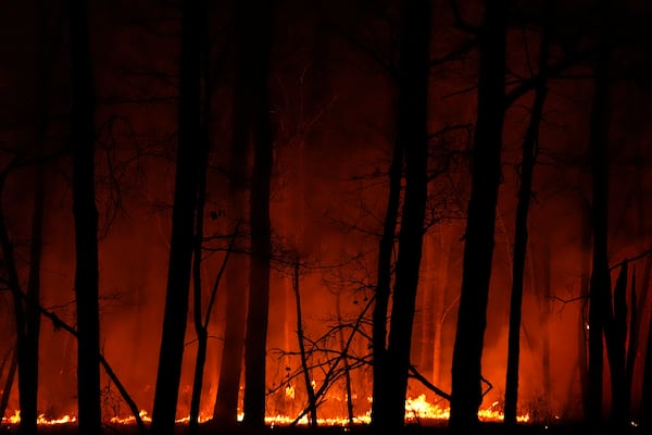 A fire burns on Tuesday, April 22, 2025, near Waretown, N.J. (AP Photo/Chris Szagola)