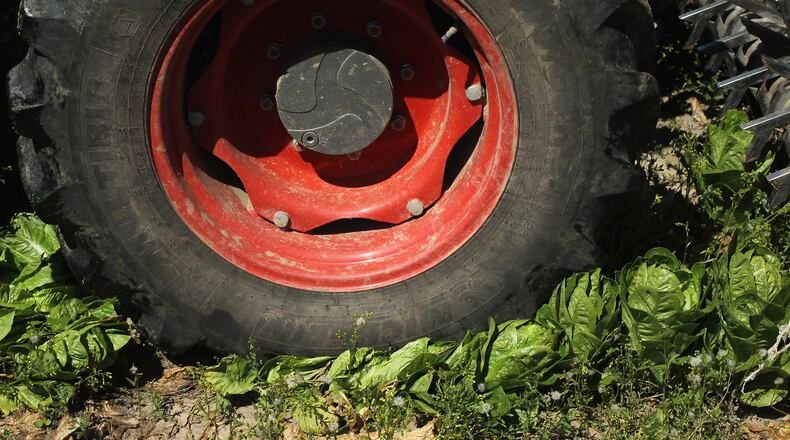 (Photo by Sean Gallup/Getty Images)