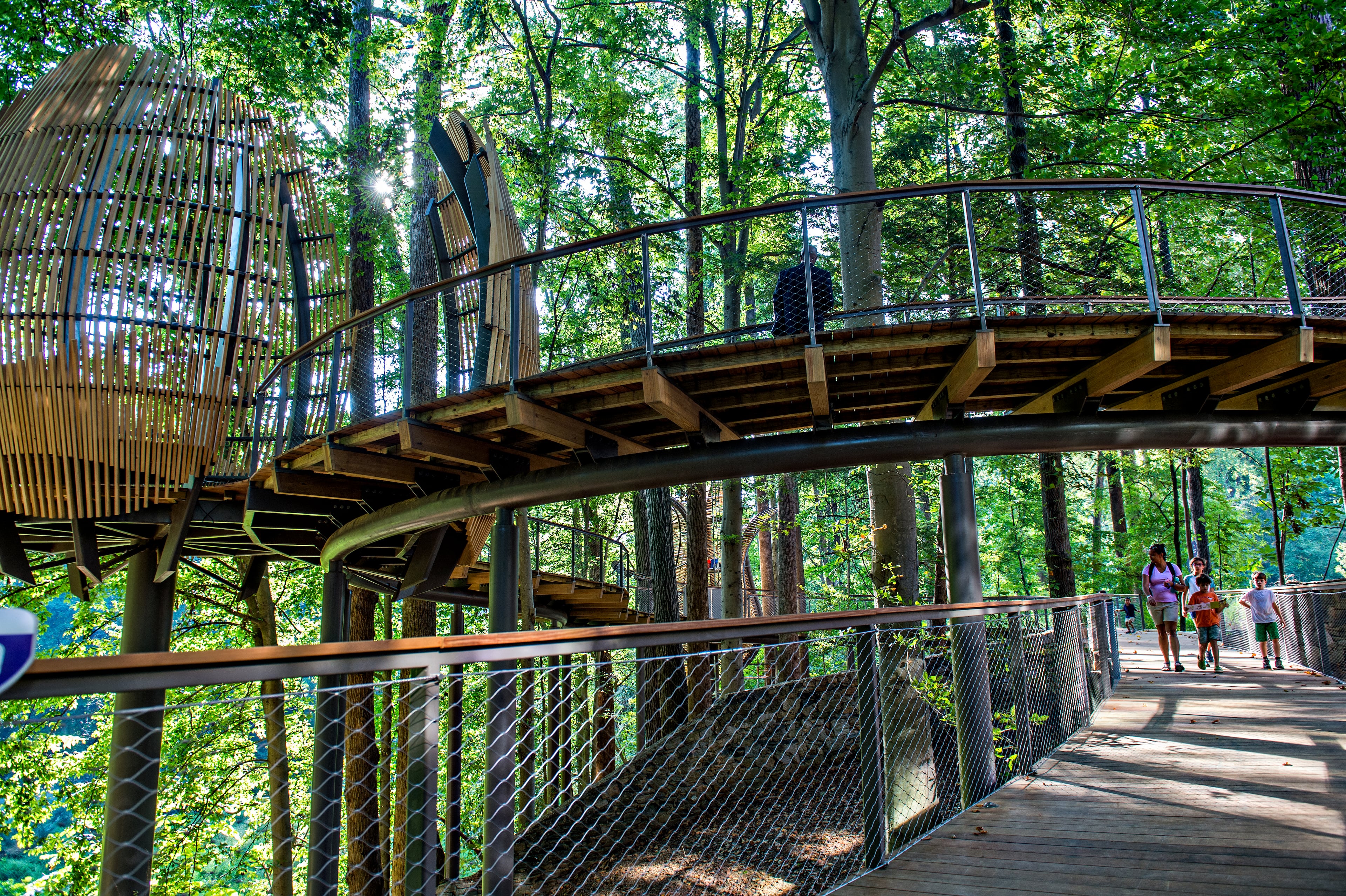 Elevated boardwalks wind through WildWoods behind the Fernbank Museum of Natural History. (Courtesy of Fernbank Museum)