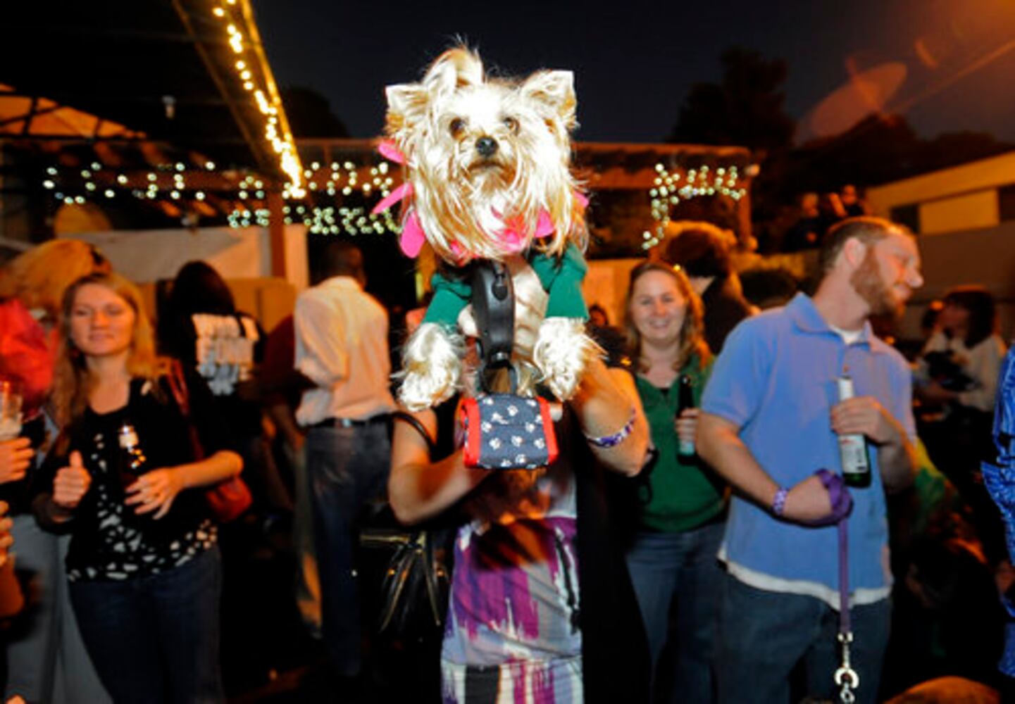 Dogs audition for 'It's Me or the Dog'