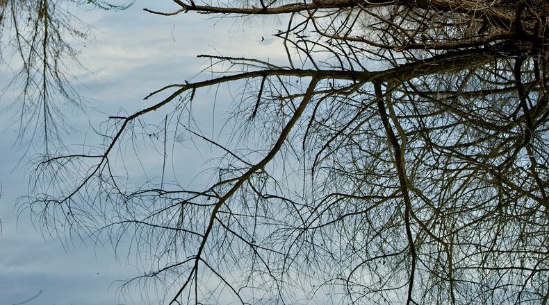 A tree is reflected in the water of the Chattahoochee River along the River Boardwalk Trail at the Chattahoochee Nature Center in Roswell on Saturday, December 27, 2014. JONATHAN PHILLIPS / SPECIAL
