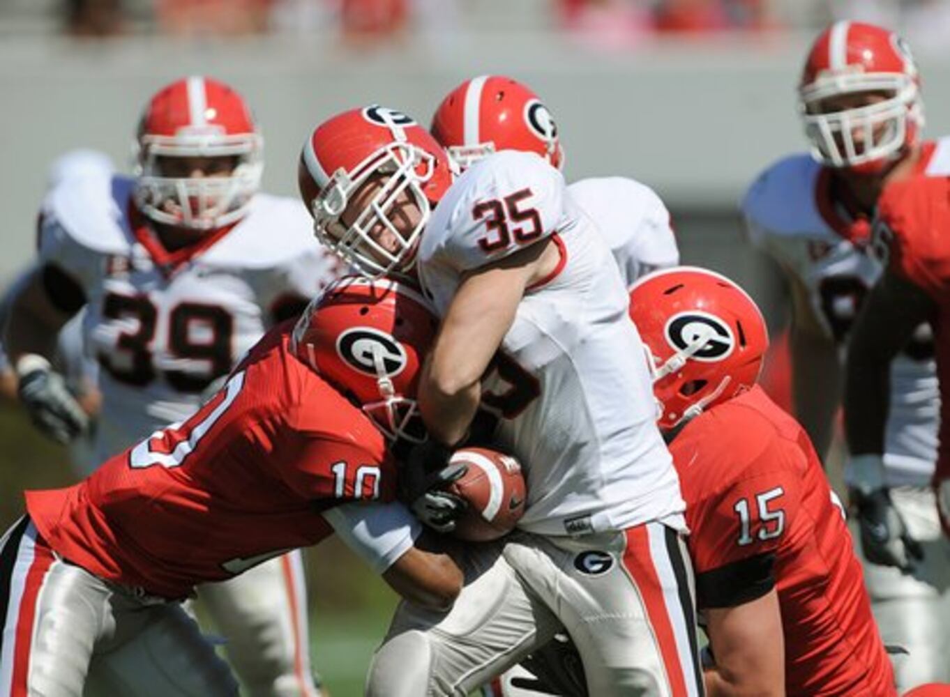 UGA football photos: G-Day