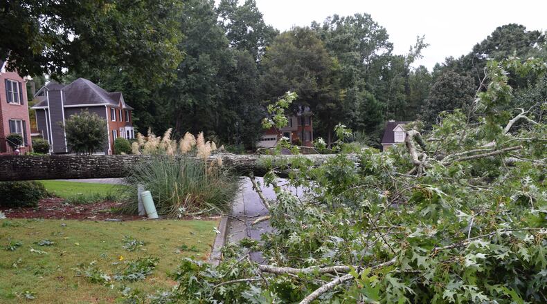 A woman was killed Thursday morning when a tree fell on her as she walked her dog in a Gwinnett County neighborhood, authorities said.