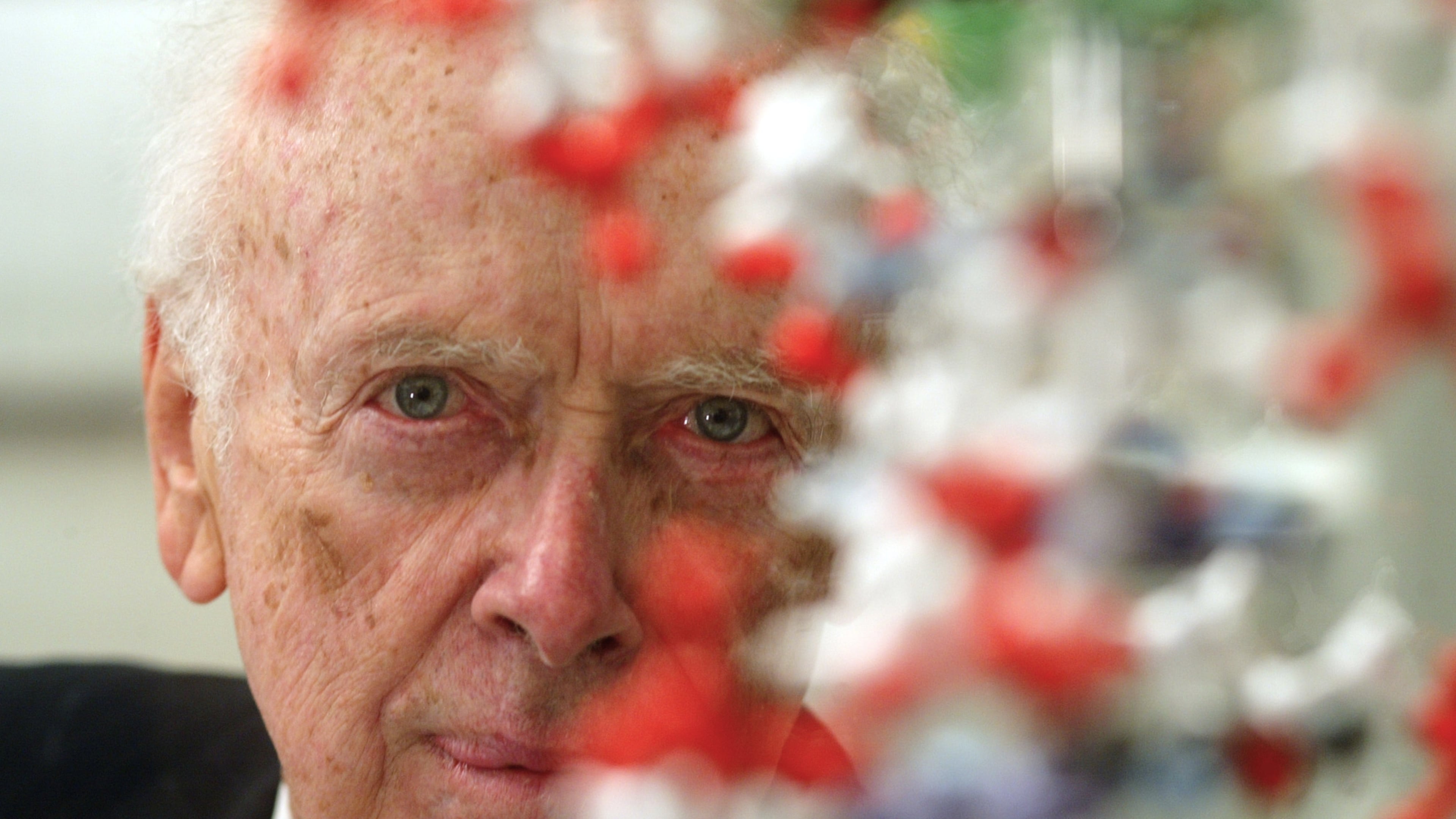 FILE - U.S. biologist James Watson, who shared a Nobel prize for helping discover the double-helix shape of the DNA molecule, poses for a portrait at an exhibition in Berlin on Monday, Oct. 11, 2004. (AP Photo/Markus Schreiber, File)