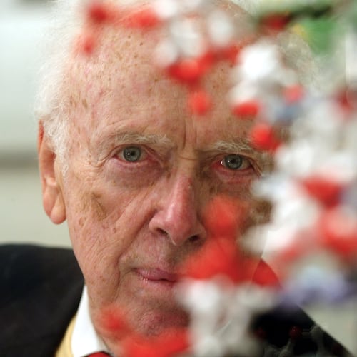 FILE - U.S. biologist James Watson, who shared a Nobel prize for helping discover the double-helix shape of the DNA molecule, poses for a portrait at an exhibition in Berlin on Monday, Oct. 11, 2004. (AP Photo/Markus Schreiber, File)