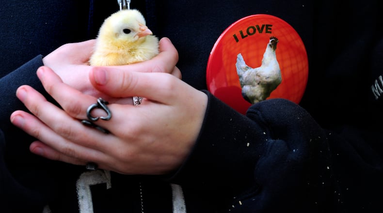 The Peach State should be called The Chicken State according to reality. (ELISSA EUBANKS / AJC FILE PHOTO)