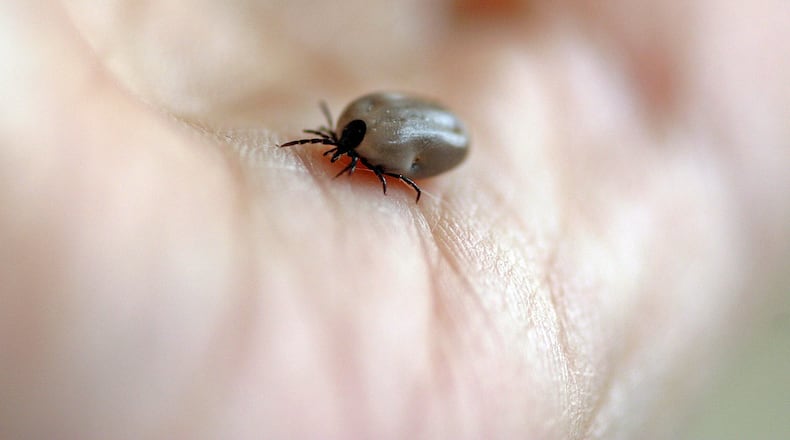 The other hard part is the ticks that carry Lyme disease are nymphs, which are only a fraction of the size of adult ticks. (File photo)